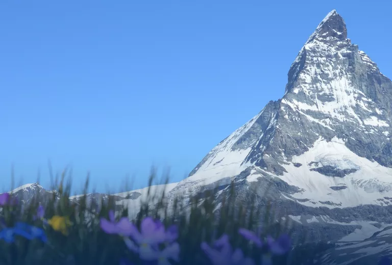 Spring forward 1500 X 520 banne