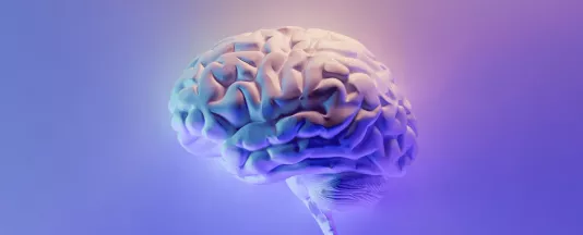 Open-Source and Advanced Education